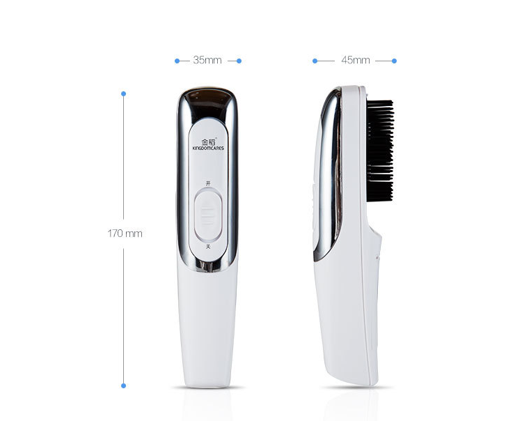 Scalp Electric Massage Comb Hair Care - Shopeez