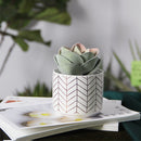 Modern Ceramic Green Planting Pot