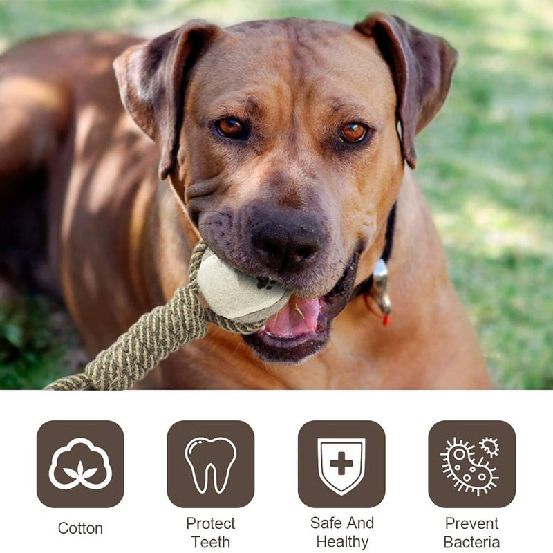 Toothbrush Chew Mini Toys Ball For Dogs Accessories - Shopeez