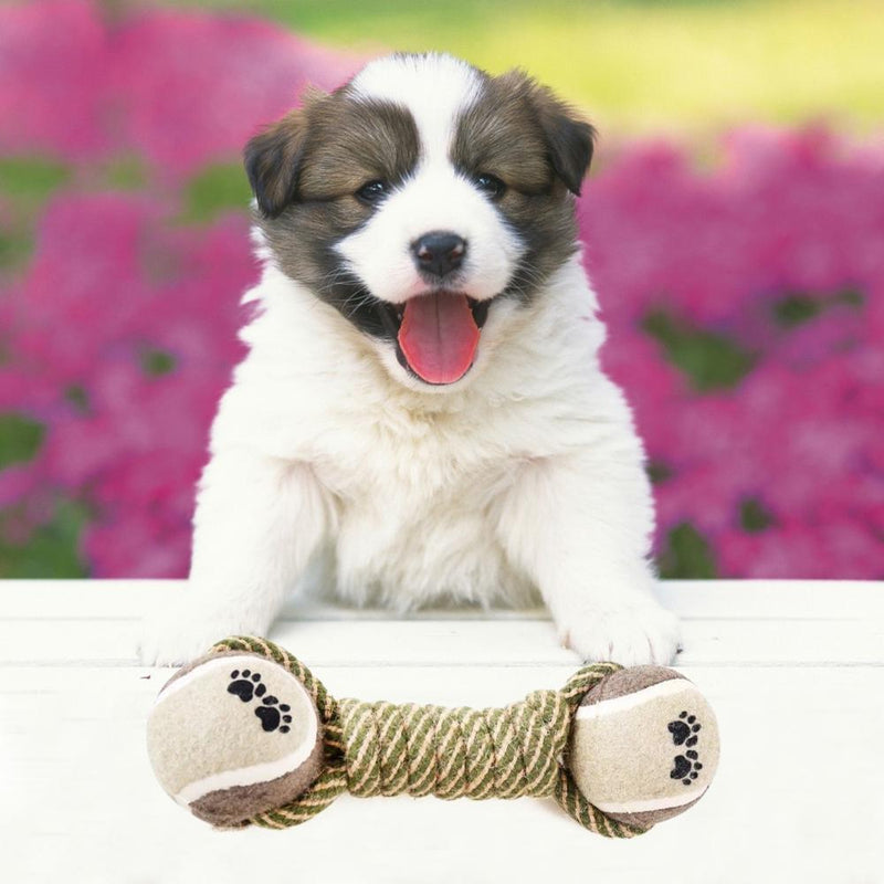 Toothbrush Chew Mini Toys Ball For Dogs Accessories - Shopeez