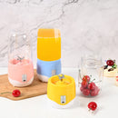Portable Mini Fruit Juicing Blender