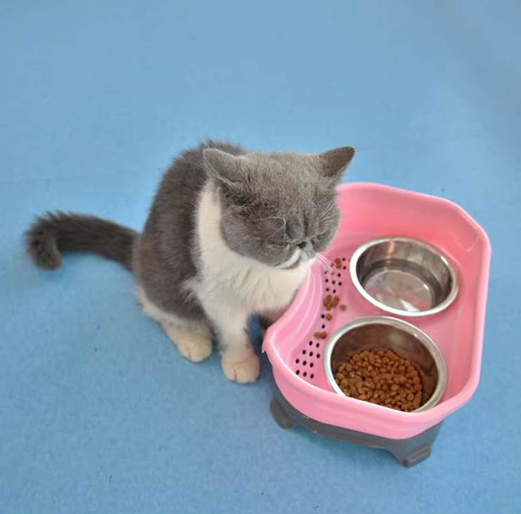 Pet food bowl - Shopeez