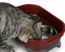 Pet food bowl - Shopeez