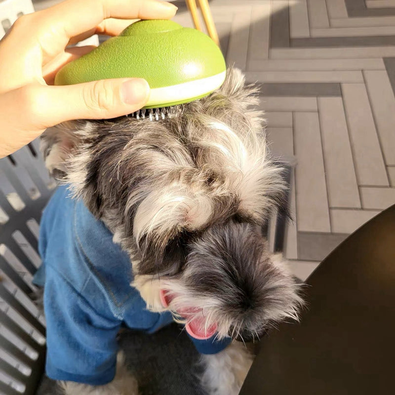 Portable Cat Grooming Massage Brush - Shopeez