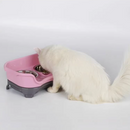 Pet food bowl - Shopeez